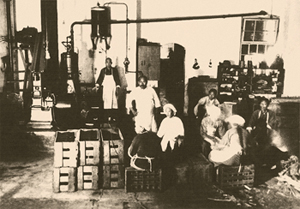 1502068894555196.jpg 1502068894555196.jpg